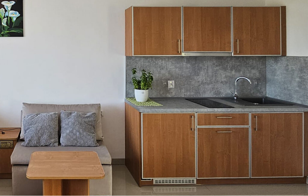 Feriehuse - Bedzino , Polen - PPO053 10