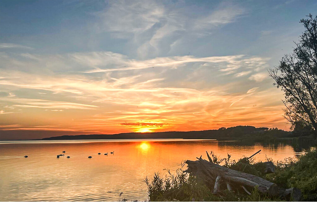 Feriehuse - Wolin , Polen - PPO361 33