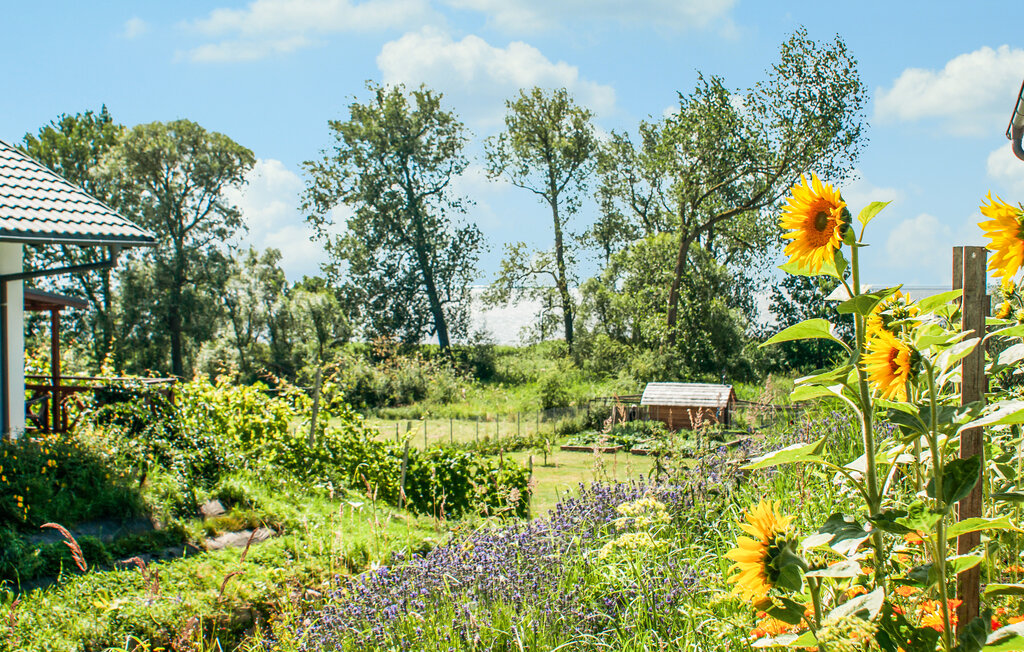 Feriehuse - Wolin , Polen - PPO361 17