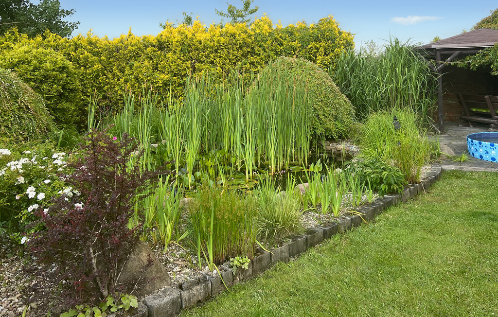 Feriehuse - Podamirowo , Polen - PPO436 9