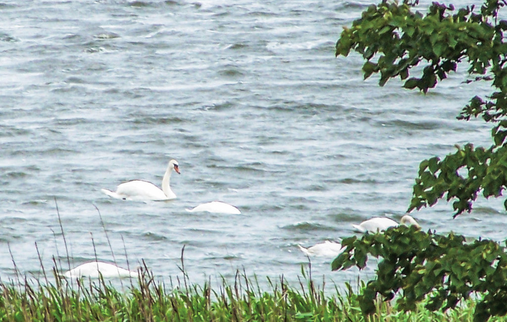 Bild 2 Bild 2