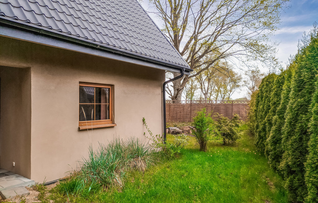 Bild 8 Bild 8