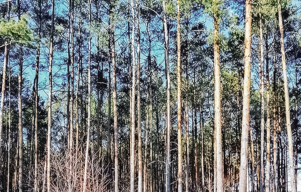 Feriehuse - Wilcze , Polen - PPW144 14