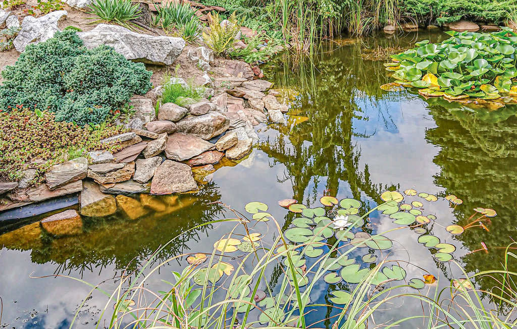 Feriehuse - Batorowo-Poznan , Polen - PPW101 17