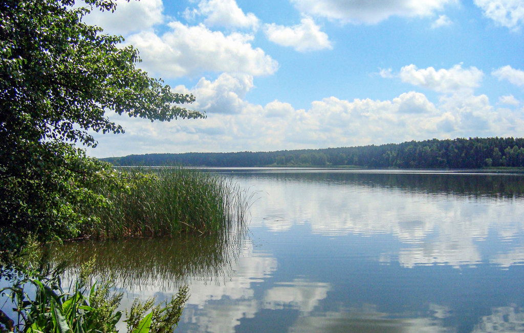 Feriehus - Kowalskie , Polen - PPW107 12