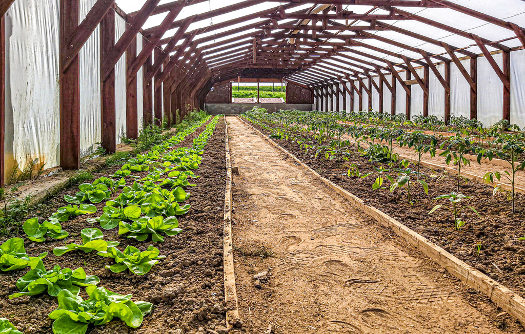 Semesterhus - Gubin , Polen - PPW134 19