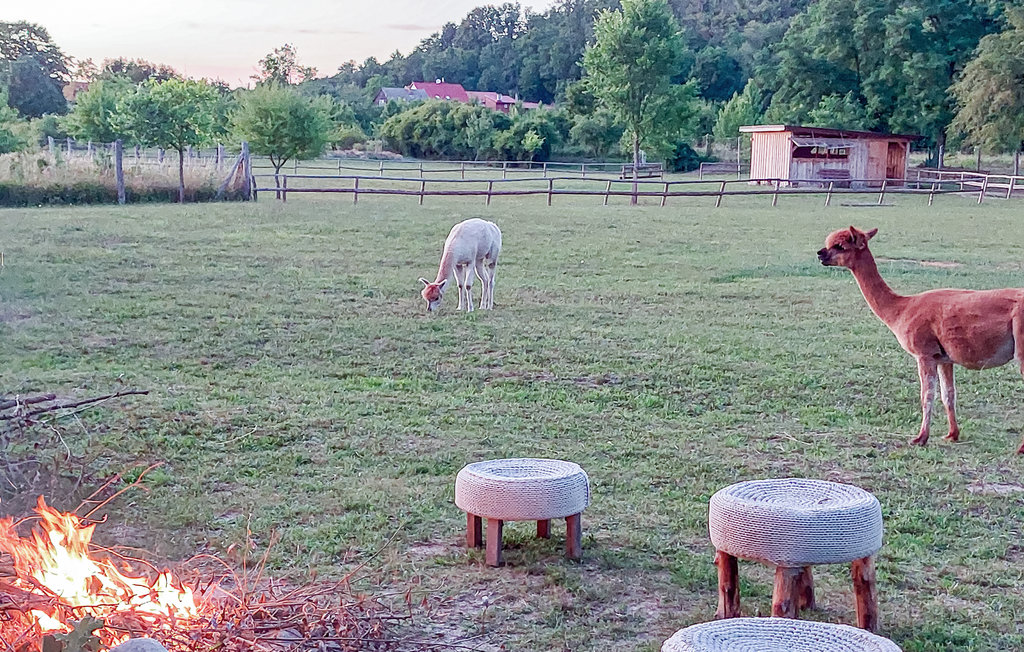Ferienhaus - Cedynia , Polen - PPW152 7