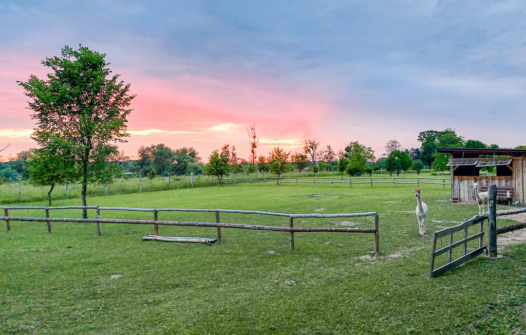 Ferienhaus - Cedynia , Polen - PPW152 19