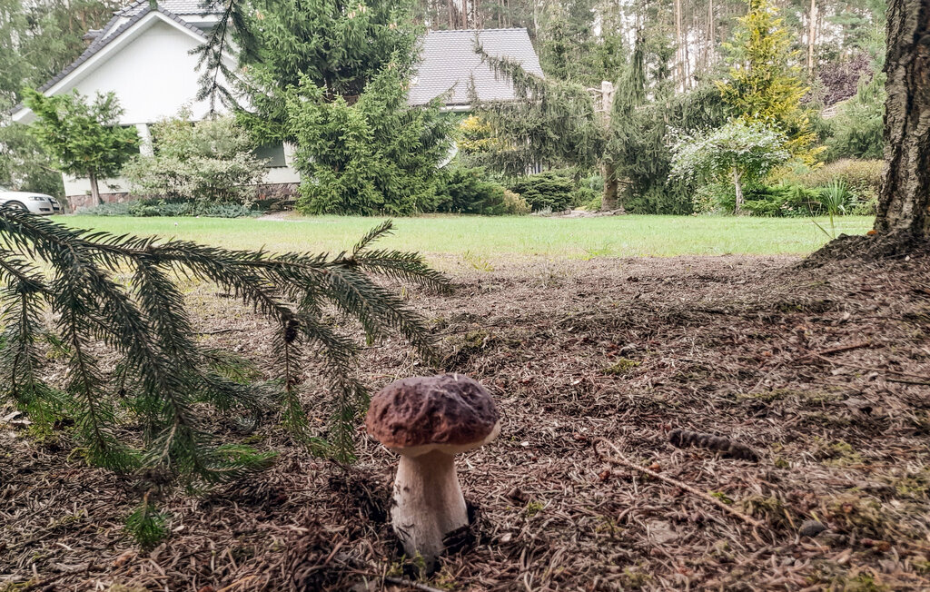 Feriehuse - Rybakowo , Polen - PPW451 12