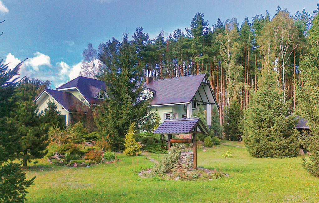 Bild 8 Bild 8