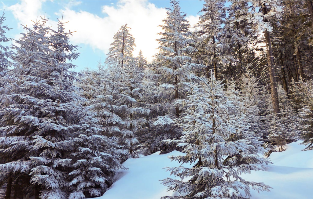 Ferienwohnung - Szklarska Poreba , Polen - PPZ211 9