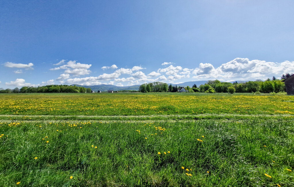 Semesterhus - Miedzygorze , Polen - PPZ016 7