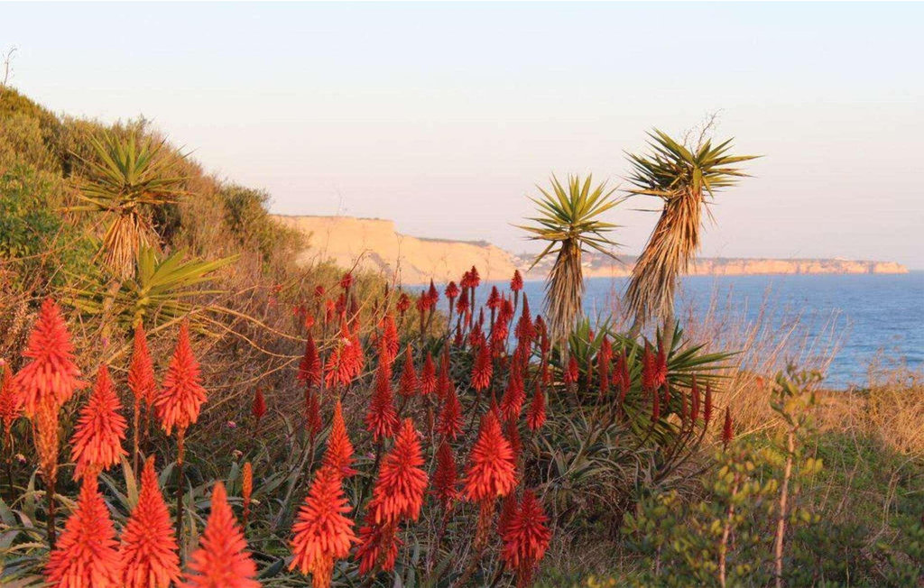Feriehuse - Praia da Luz , Portugal - PTA318 39