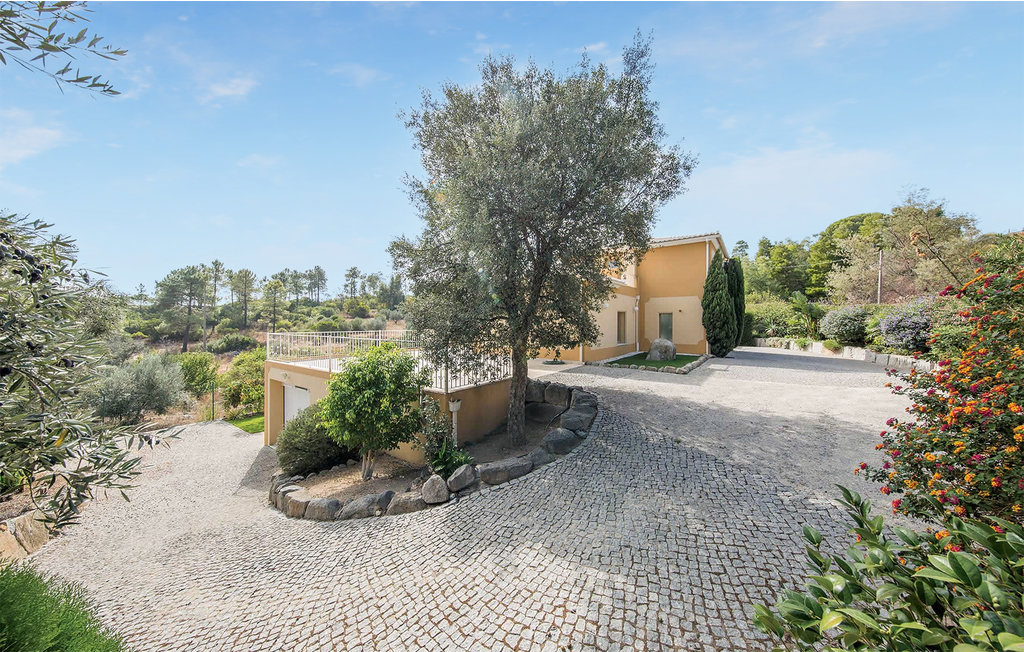 Ferienhaus - Monchique , Portugal - PTA139 9