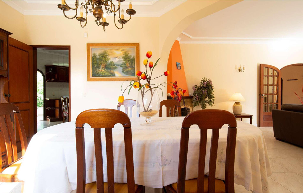 Ferienhaus - Vale de Parra , Portugal - PTA195 20