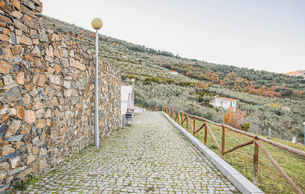 Lejlighed - Freixo de espada cinta , Portugal - PTD048 22