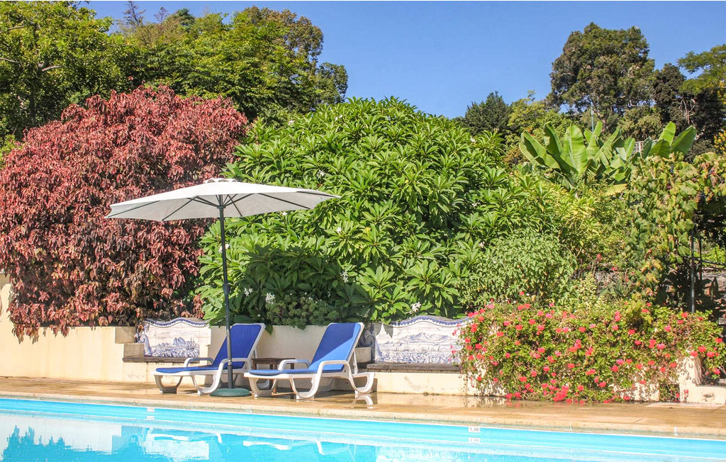 Ferienhaus - Funchal , Portugal - PTM010 14