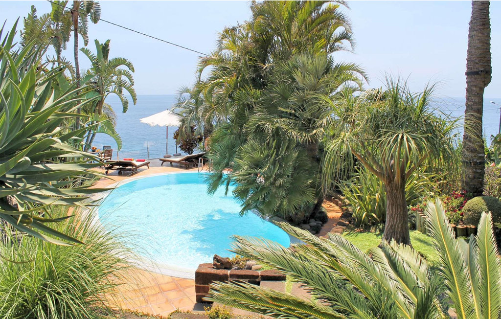 Ferienhaus - Calheta , Portugal - PTM032 12