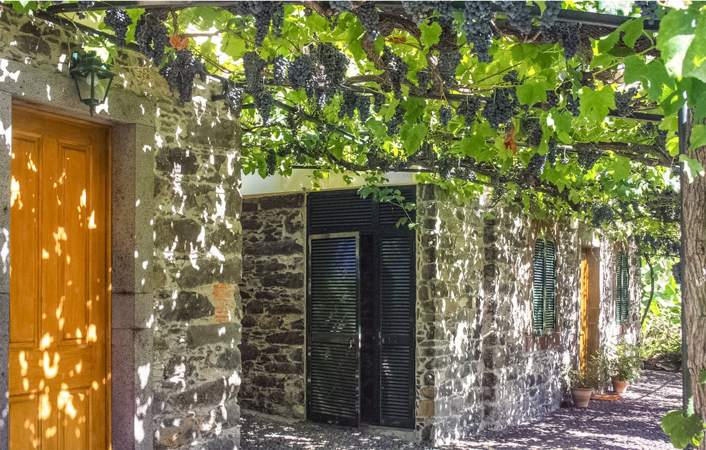 Ferienhaus - Funchal , Portugal - PTM010 16