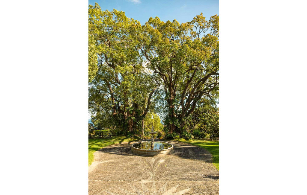 Ferienhaus - Funchal , Portugal - PTM010 7