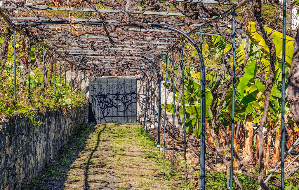 Ferienhaus - Funchal , Portugal - PTM010 8