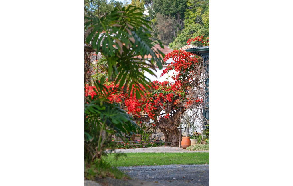 Ferienhaus - Funchal , Portugal - PTM010 23