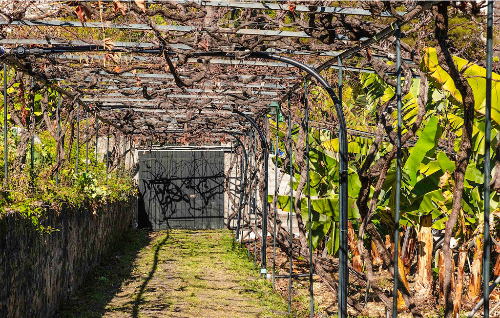 Ferienwohnung - Funchal , Portugal - PTM011 10
