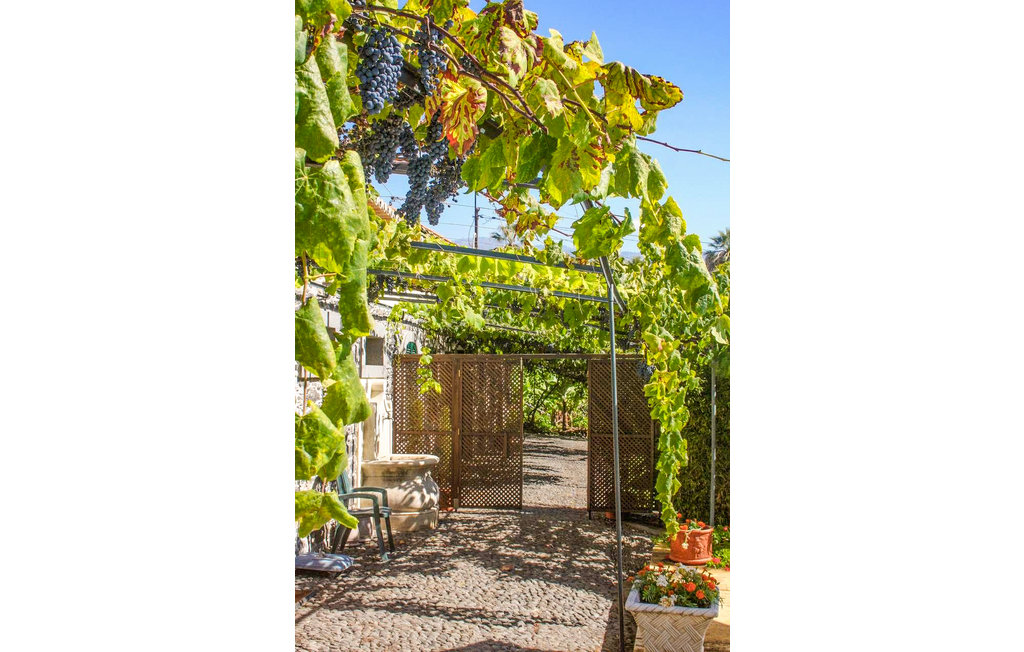 Ferienhaus - Funchal , Portugal - PTM010 5