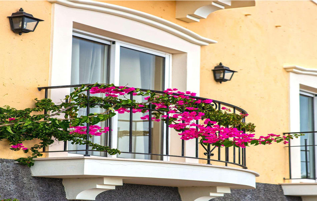 Semesterhus - Palheiro Golf Resort , Portugal - PTM049 15