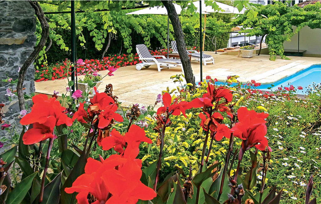 Ferienhaus - Funchal , Portugal - PTM010 6