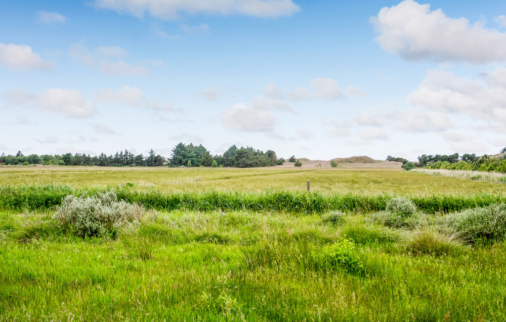 Ferienhaus - Toftum , Dänemark - R10121 14
