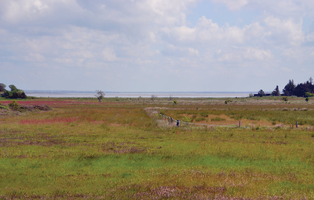 Ferienhaus - Kongsmark , Dänemark - R10161 5