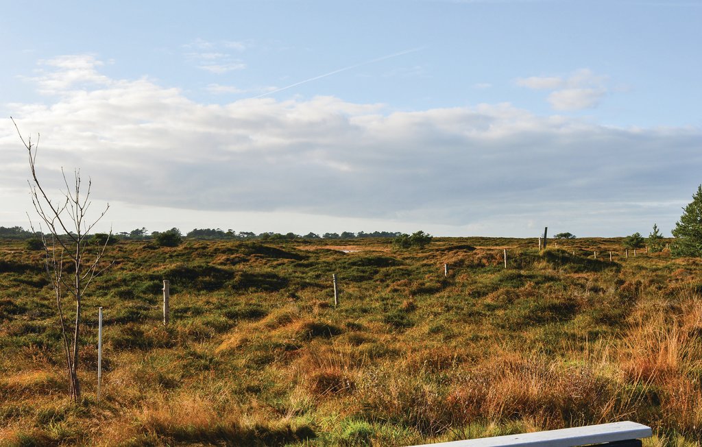 Ferienhaus - Kongsmark , Dänemark - R10276 3