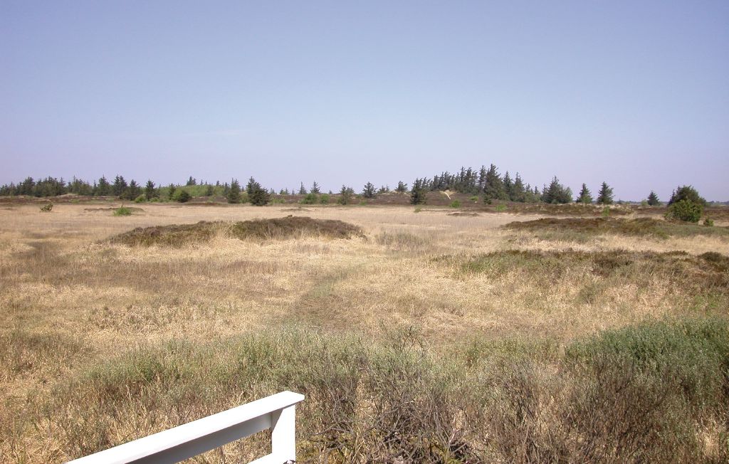 Feriehus - Kongsmark , Danmark - R10353 12