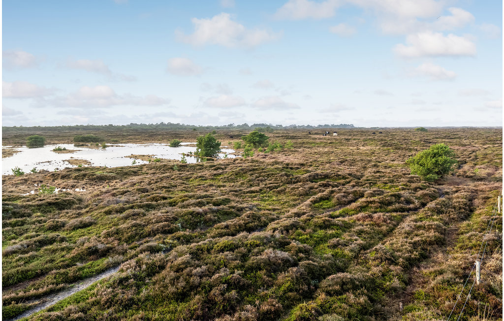 Ferienhaus - Kongsmark , Dänemark - R10397 11