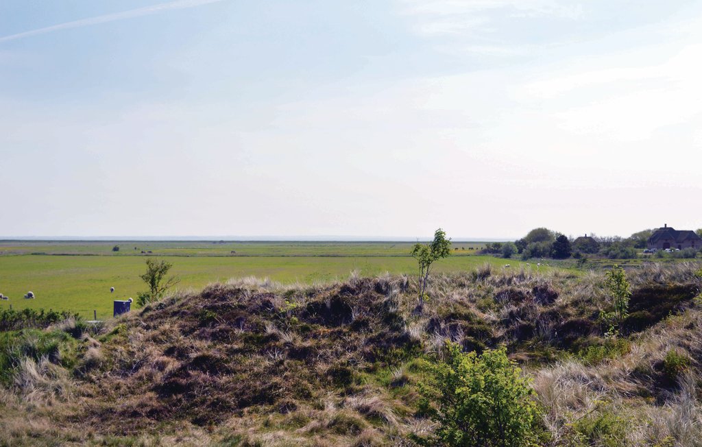 Ferienhaus - Toftum , Dänemark - R10698 16