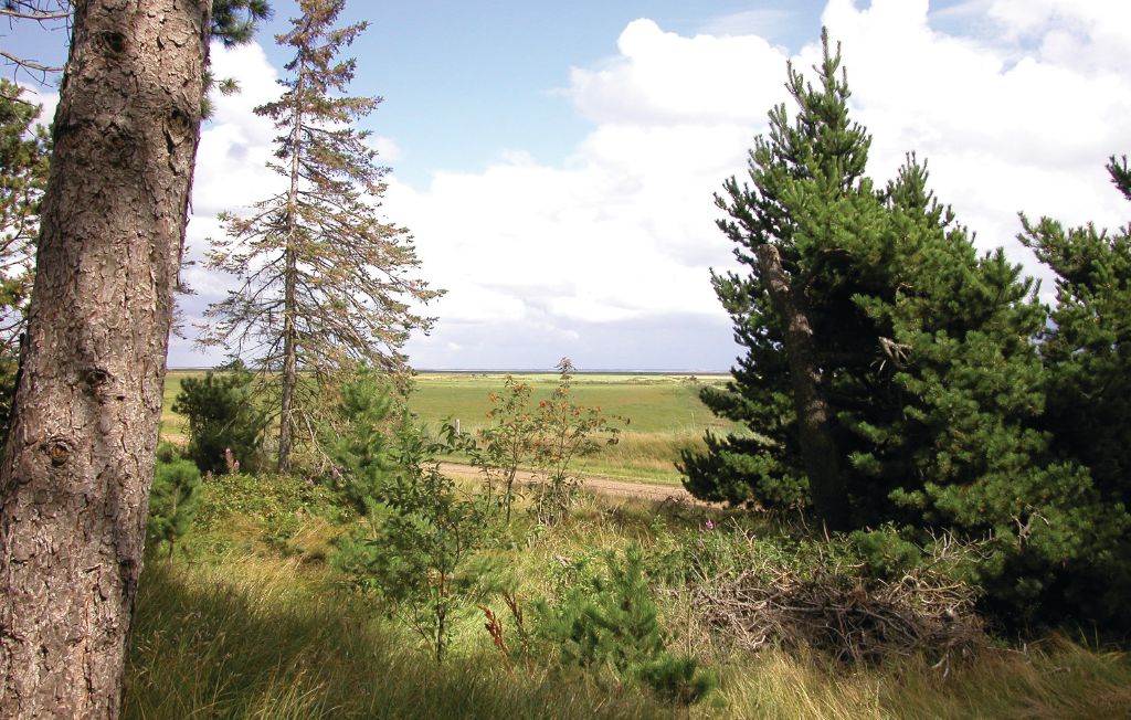Feriehus - Toftum , Danmark - R10913 7