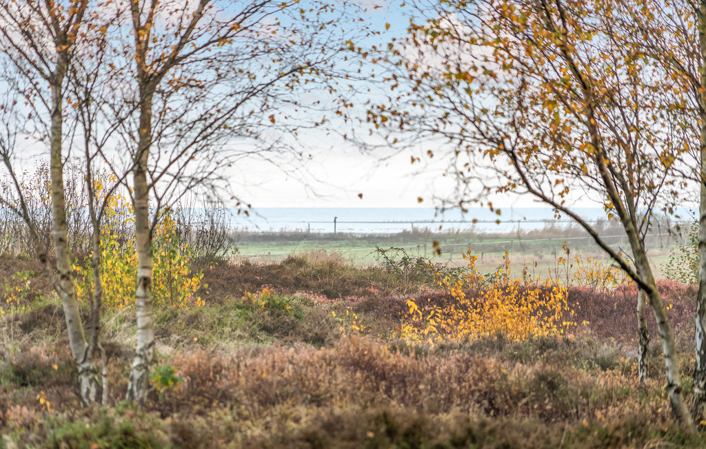 Feriehuse - Havneby , Danmark - R10027 9