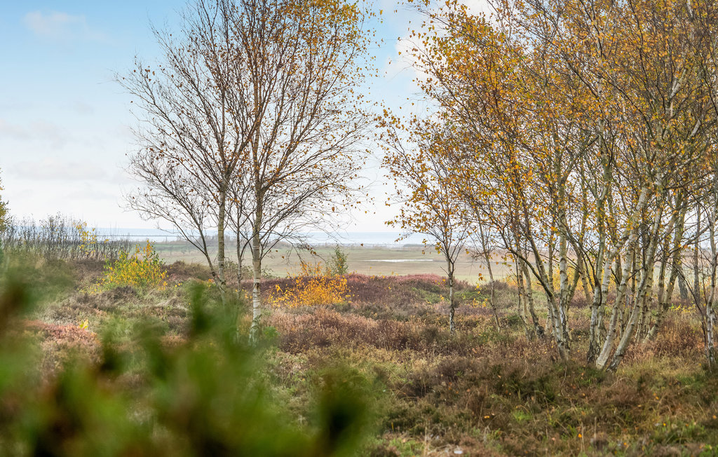 Feriehuse - Havneby , Danmark - R10027 17