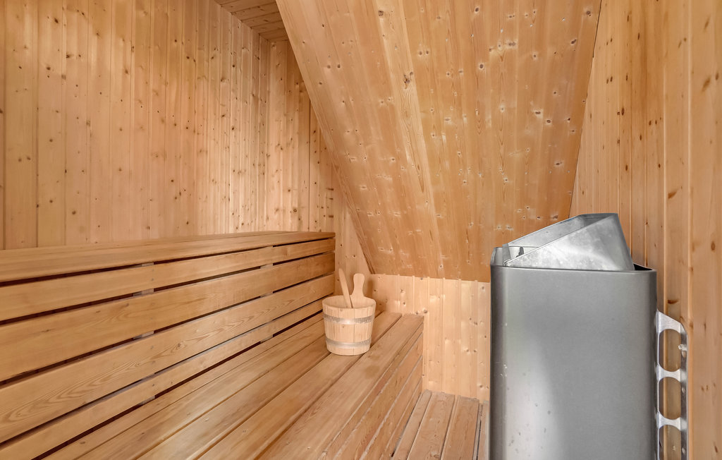 Ferienhaus - Kongsmark , Dänemark - R10102 31