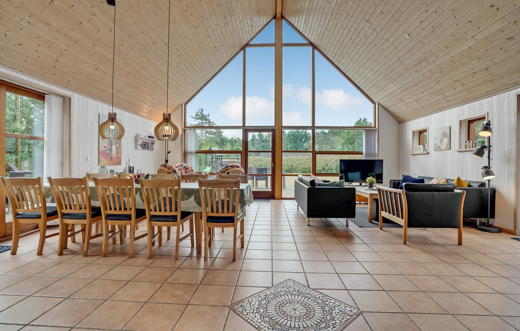 Ferienhaus - Kongsmark , Dänemark - R10102 3