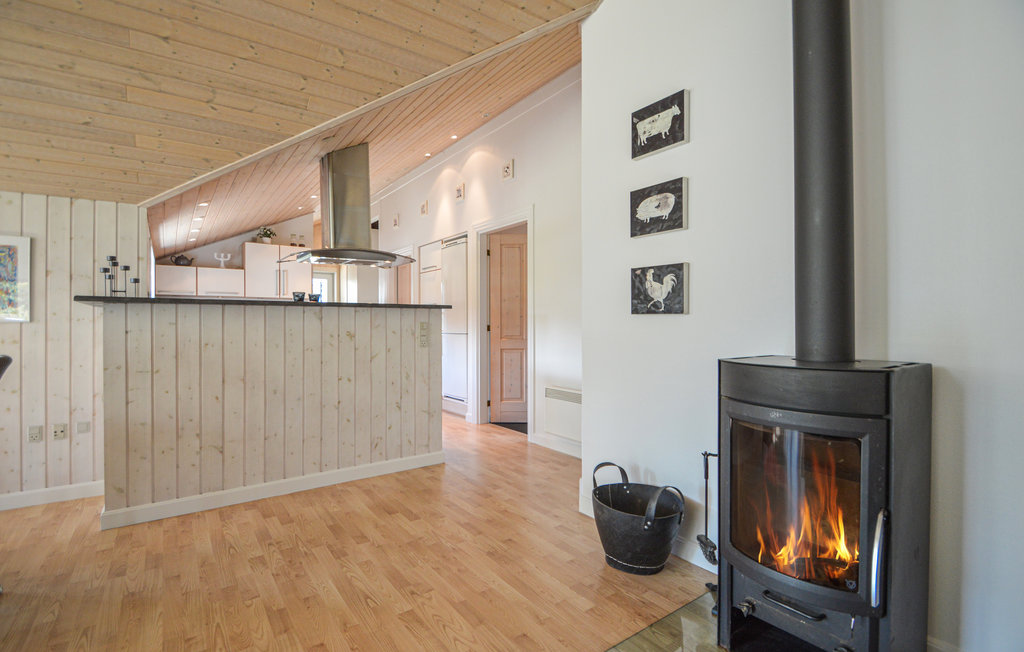 Feriehuse - Bolilmark , Danmark - R10010 14