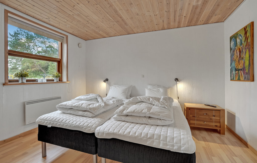 Ferienhaus - Kongsmark , Dänemark - R10102 9