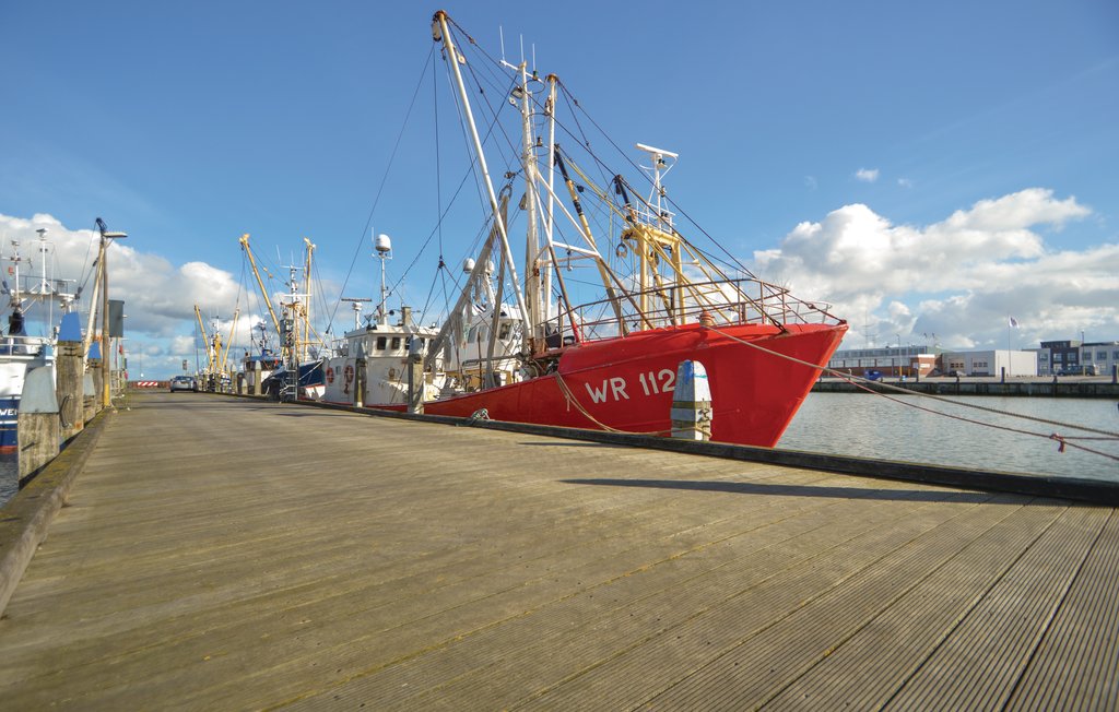 Ferienhaus - Vesterhede , Dänemark - R10208 26