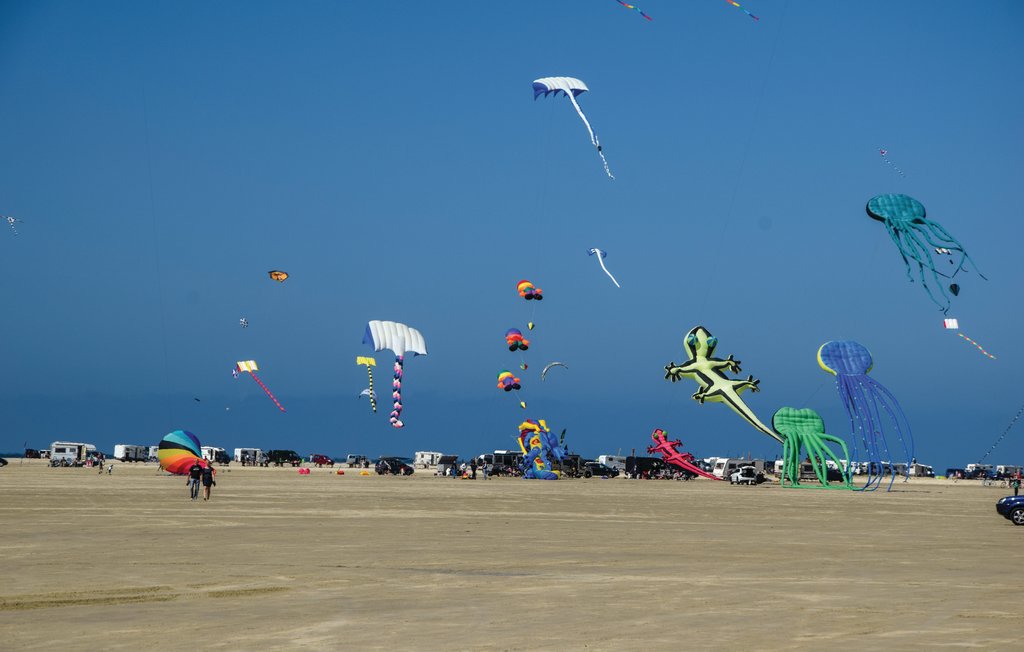 Feriehuse - Toftum , Danmark - R10705 29