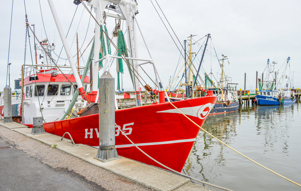 Feriehuse - Kongsmark , Danmark - R10532 27