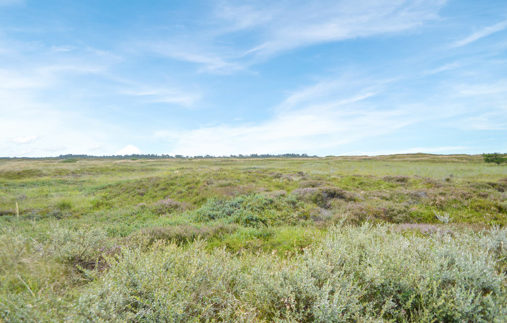 Feriehuse - Kongsmark , Danmark - R10620 22