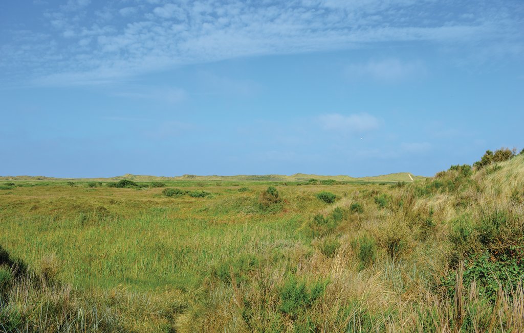 Feriehuse - Toftum , Danmark - R10705 33