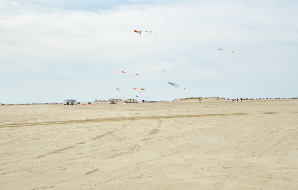 Ferienhaus - Toftum , Dänemark - R10820 21