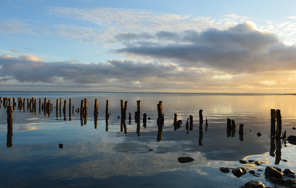 Feriehuse - Bolilmark , Danmark - R10010 30